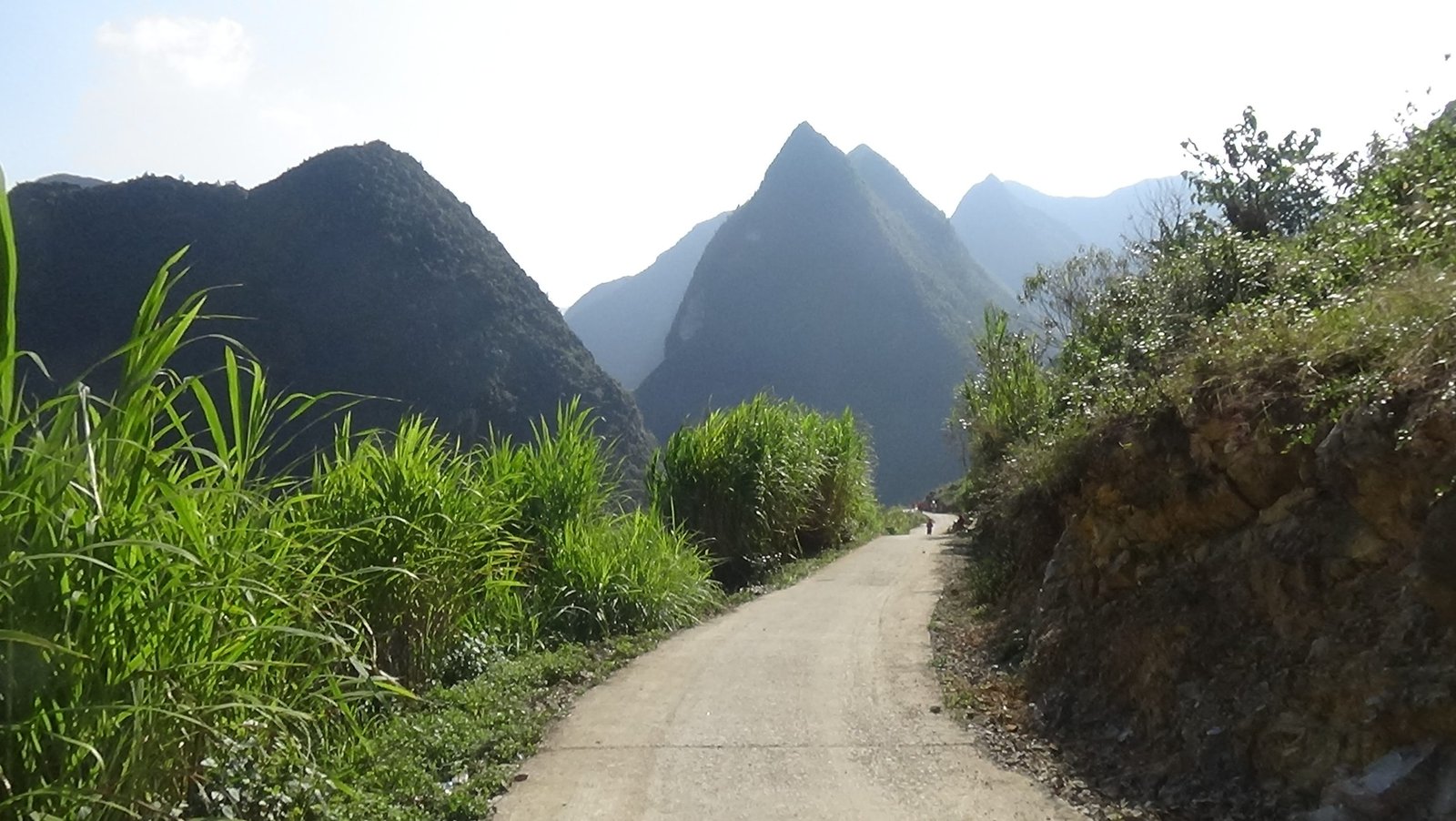 10-Day Ha Giang Loop & Hoang Su Phi Cycling Adventure